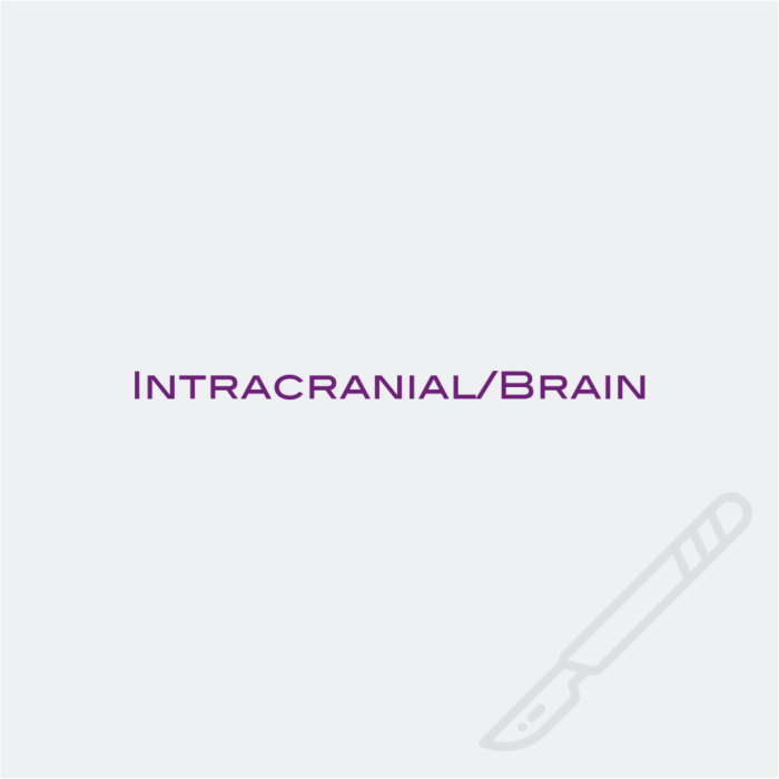 Intracranial Brain Icon